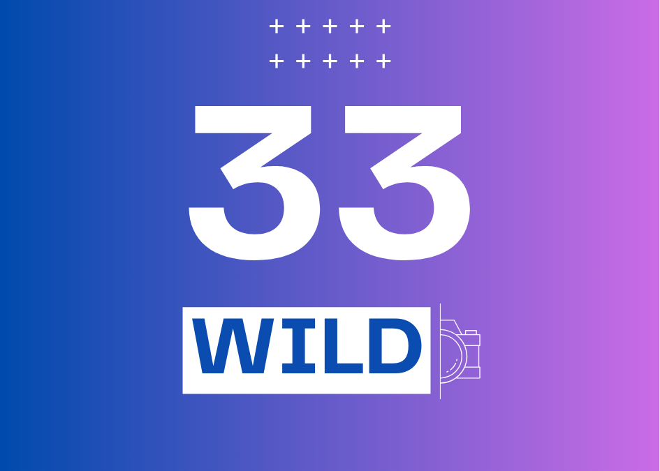 Day 33 #Wild