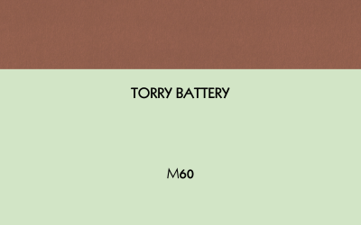 Monopoly in Real Life | Torry Battery